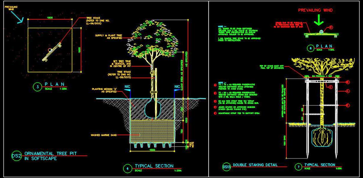 Ornamental Tree Landscape CAD Detail- Planting and Staking